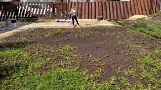 КАК ПОСАДИТЬ ГАЗОН БЕЗ БОЛЬШИХ ЗАТРАТ.