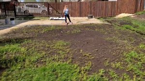 КАК ПОСАДИТЬ ГАЗОН БЕЗ БОЛЬШИХ ЗАТРАТ.