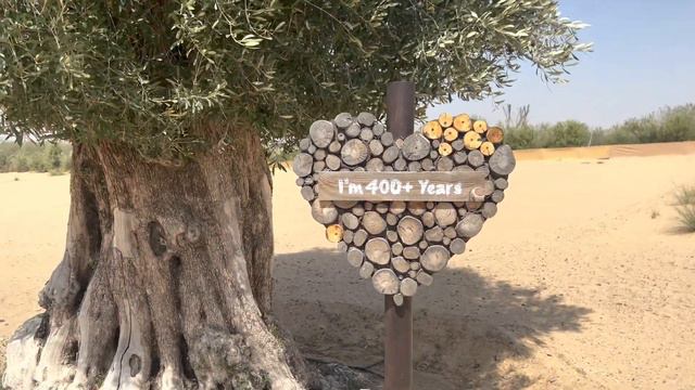 Love Lake in Dubai | ప్రేమతో నిండిపోయింది| Dubai Divakar | #exploredubai #lovelake (4K) смотреть онлайн