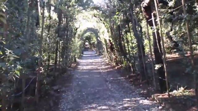 Boboli Gardens, Florence, Italy 2017 смотреть онлайн
