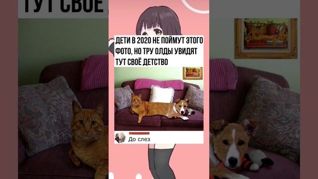 #short #shorts #мем #мемы #прикол #юмор #funny (16) смотреть онлайн