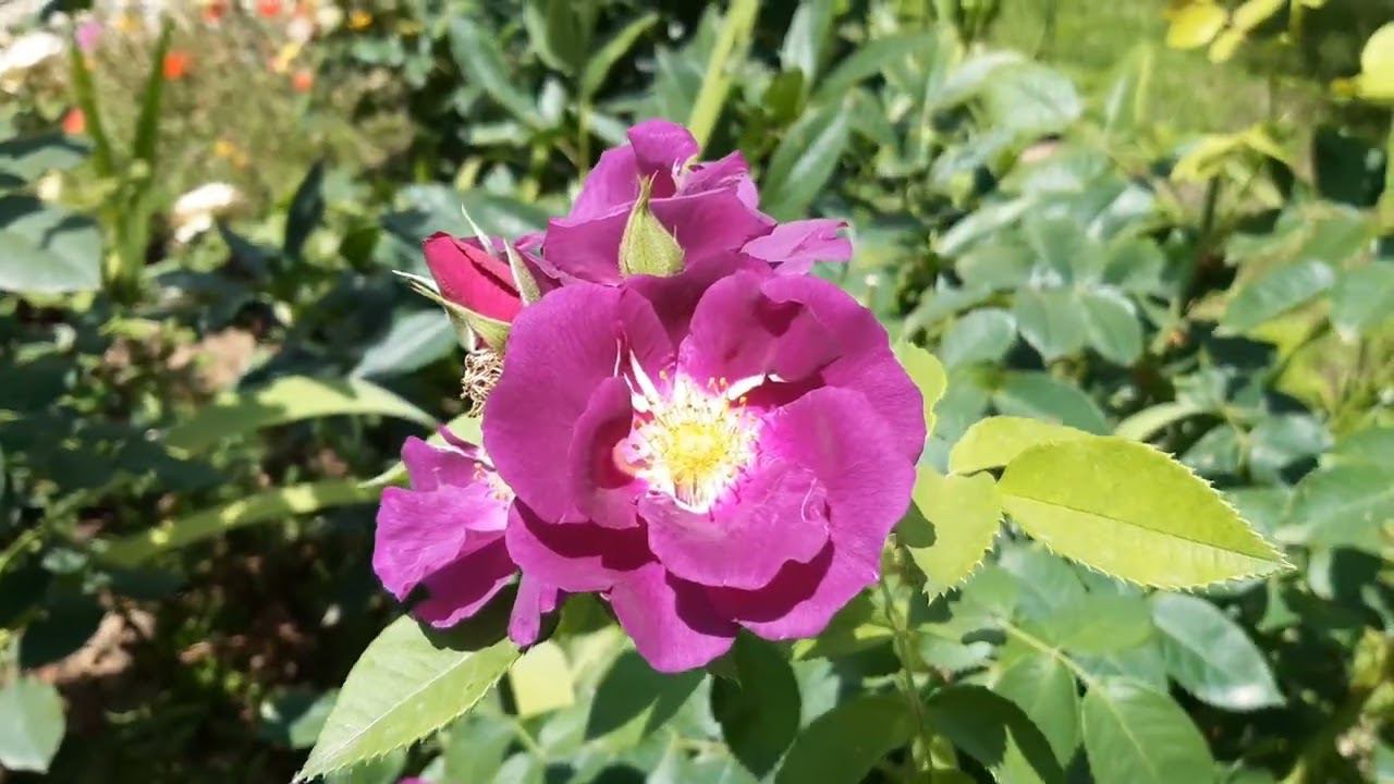 24 июля 2022 года смотреть онлайн