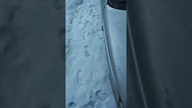 Классный скребок для лобового стекла автомобиля. смотреть онлайн