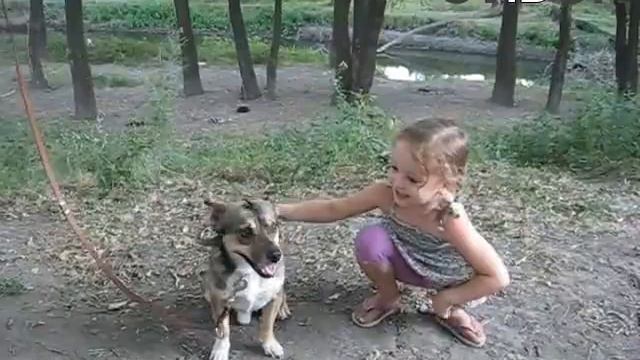 Дуэт девочки с собакой смотреть онлайн