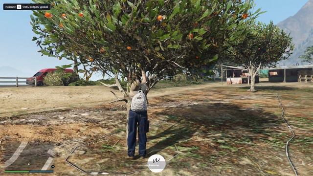 Работа на Ферме | Куда сдавать апельсины?! | на Majestic rp смотреть онлайн