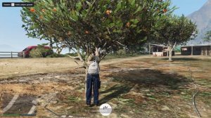 Работа на Ферме | Куда сдавать апельсины?! | на Majestic rp