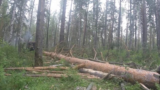 Дт-75 и наши баобабы смотреть онлайн
