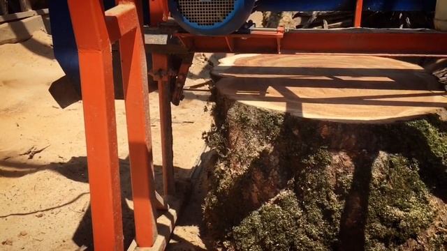 Распил полутораметровых спилов на ленточной пилораме смотреть онлайн