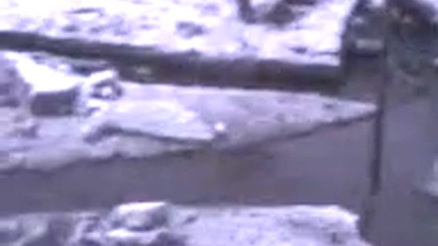 Берестовицкий район д.Старинцы (Козёл смотреть онлайн