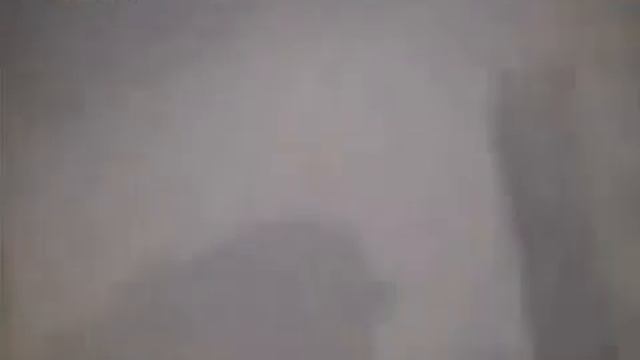 Ребенок упал в вольер с гориллами