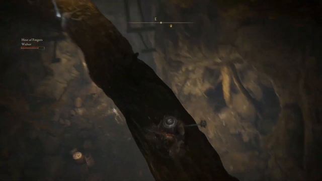 Elden Ring Seamless Coop: Trouble With Heights смотреть онлайн