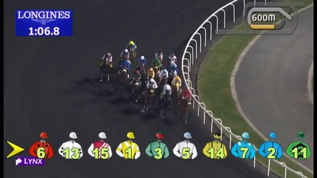 17.01.2013 Meydan (Dubai-UAE) 1.Race Dubai Duty Free Finest Surprise - 1.600 m смотреть онлайн