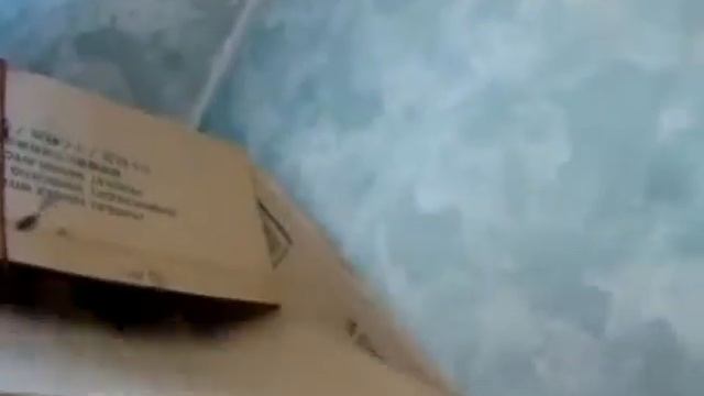 Цыплятам 3 недели смотреть онлайн