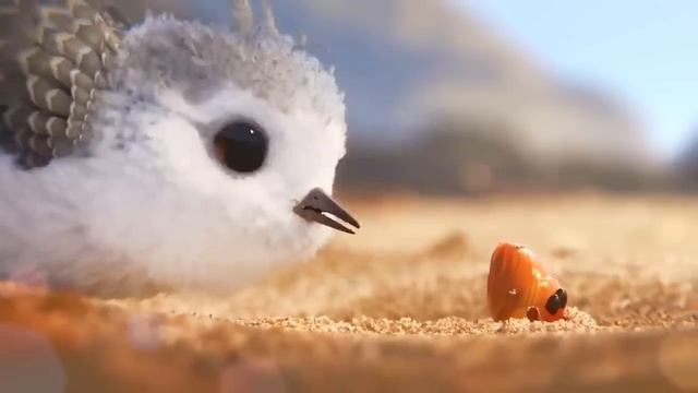 Disney Pixar "Piper" - Music by lewisjackmusic смотреть онлайн
