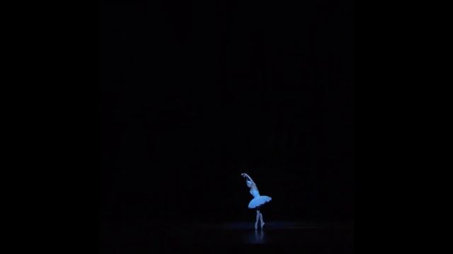 Fokine's The Dying Swan performed by Natalia Osipova смотреть онлайн