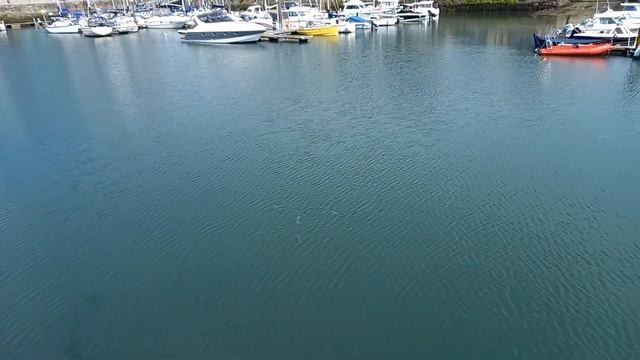 Как Яхты выходят в открытое море 🌊. смотреть онлайн