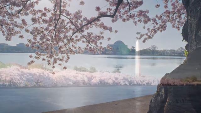 Psalm 118: This Is The Day смотреть онлайн