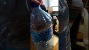 Выращивание  картошки в  бутылке
