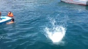 Южные острова Нячанга, Вьетнам. Southern islands in Nha Trang | amazing fishes, sharks, turtles