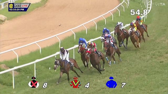 #BANGALORE - 25 Jun 2023 | The Pronto Pronto Plate | Race No. 3 | MAGNUS with Y S Srinath. смотреть онлайн