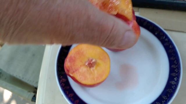 Персиковий конвеєр набирає оберти. Нектарин ВАНГ 8. Обзор. смотреть онлайн