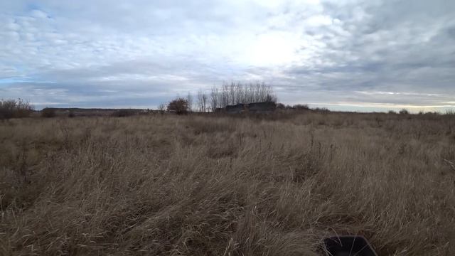 БЕЗНАЛ ВЗЛЕТЕЛ !!! ОГРОМНАЯ РАЗНИЦА В ЦЕНЕ ЗА металл ...