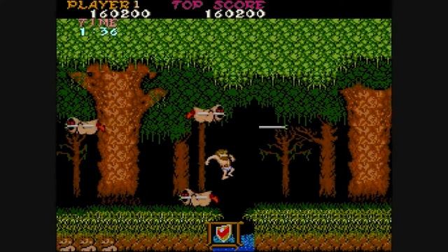 Ghosts 'N Goblins (ARCADE) [LONGPLAY] смотреть онлайн