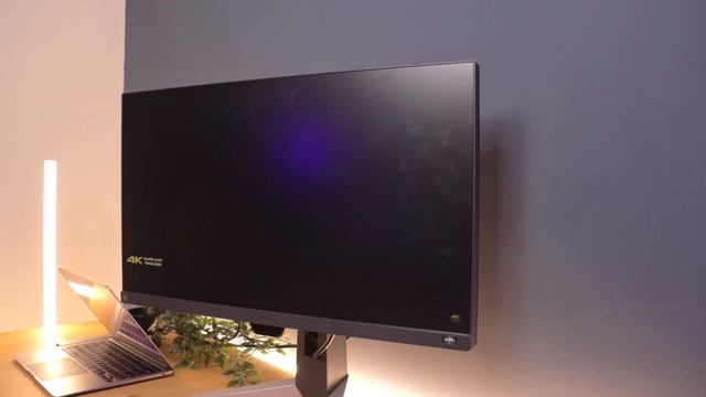 Best Budget Gaming Monitor with 165Hz 1Ms - BenQ MOBIUZ EX2510S Review | Buy in 2022 смотреть онлайн