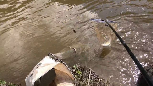 Рыбалка в Башкирии фидер лещ р.Белая смотреть онлайн