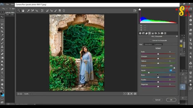 Photoshop Tutorial | Camera Raw Filter | Best Photo Editing | Adobe Photoshop cc 2020 смотреть онлайн