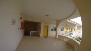 Эмираты: Дубай → Flamingo beach resort