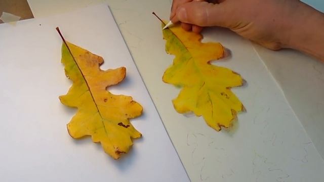 How to Draw an Autumn Leaf. EASY Step-By-Step Colored Pencil TUTORIAL. смотреть онлайн