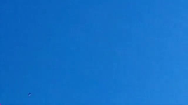 Снова Ястреб Тетеревятник смотреть онлайн
