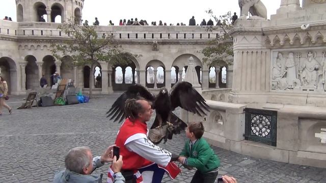 Tourist Attraction at Fisherman's Bastion, Budapest - Hugh bird of prey plays with tourists смотреть онлайн