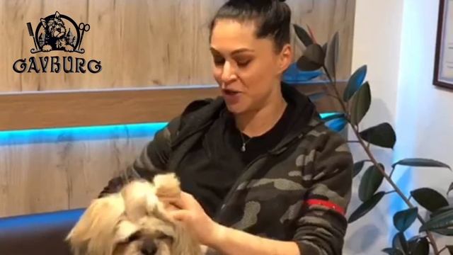 Жанна и ши-тцу Спайк - отзыв о зоосалоне Гавбург смотреть онлайн