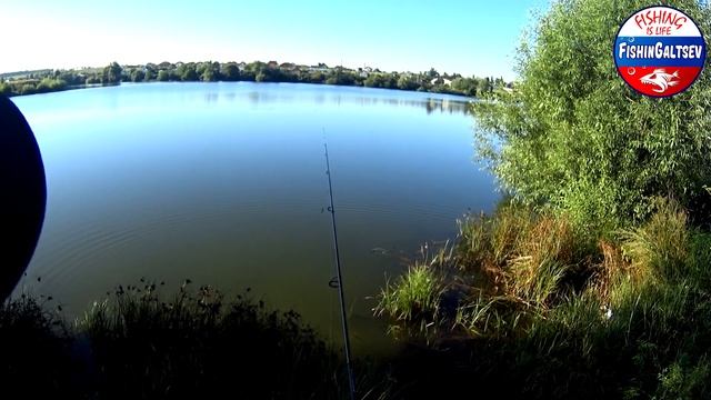 Обзор спиннинга Graphiteleader Calzante EX тест на рыбалке FishinGaltsev смотреть онлайн