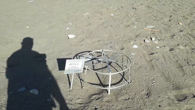 Залива на Костенурките(Лара)Полуостров Акамас смотреть онлайн