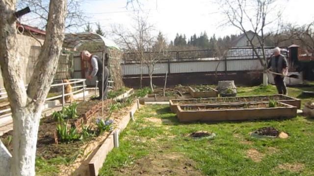 2016 04 30 Дача 5 смотреть онлайн