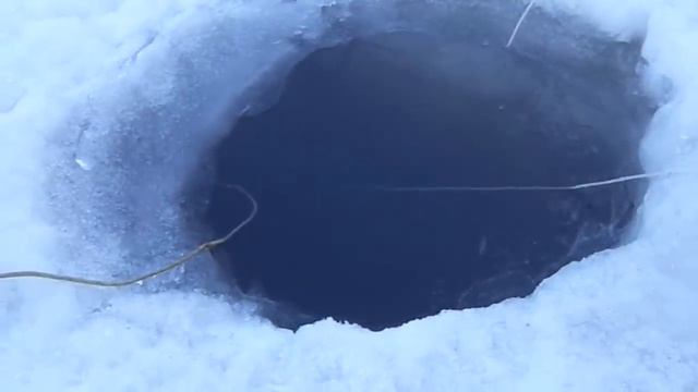 Радует тропа налима! Проверка перемета. смотреть онлайн
