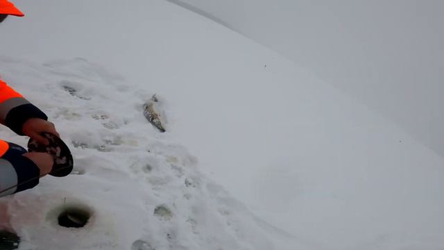 Первый ЛЁД 2021-2021г.В "4К" #РыбаЧелы35 На Рыбинском Водохранилище. смотреть онлайн