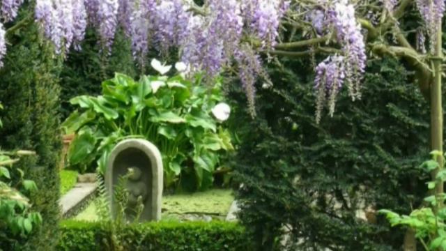 Парк Цветов Асиага В Японии