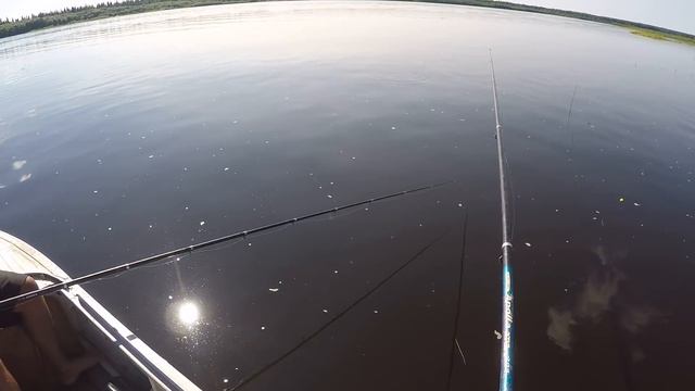 ТРИ КАНАЛА НА ПЕЧОРЕ #3 \ НАТЯГАЛИ ОКУНЕЙ \ КАЙФАНУЛИ ПО ПОЛНОЙ смотреть онлайн