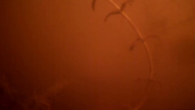 ТАК ВОТ ОТ ЧЕГО Карась ДУРЕЕТ! Простая фасоль! Подводная съемка смотреть онлайн