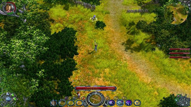 Sacred 2: Fallen Angel (#5)