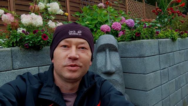 Встреча выпускников, Алексей Швабихер смотреть онлайн