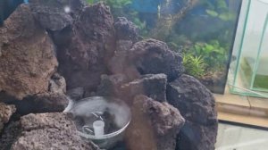 Аквариум песочный водопад