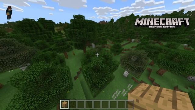 COMPARATIVA: MINECRAFT Java Edition Vs Windows 10 Edition (Bedrock) смотреть онлайн
