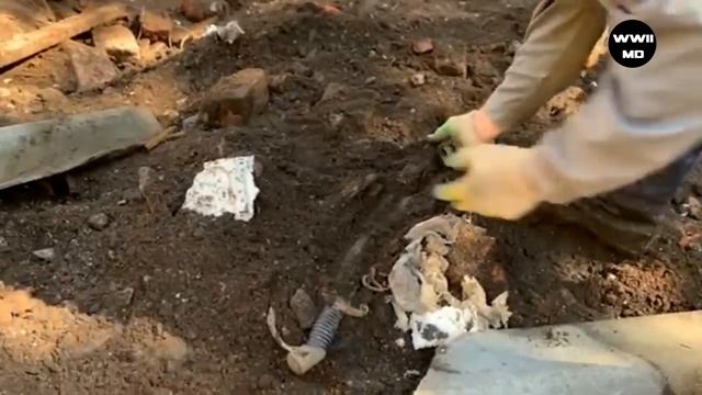 AMAZING FINDS FROM THE EARTH смотреть онлайн