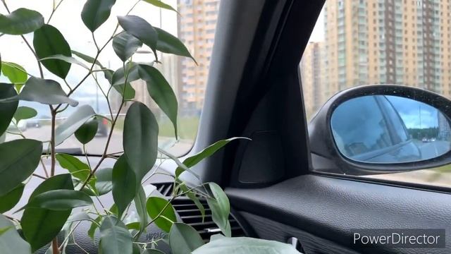 Переезжаем/Проводила мужа в командировку смотреть онлайн