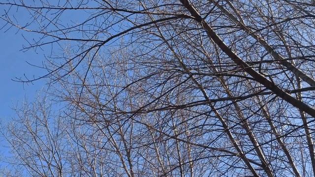 Что нельзя делать в воскресенье, чтобы не навлечь беду и неприятности..Запреты воскресенья. Приметы смотреть онлайн